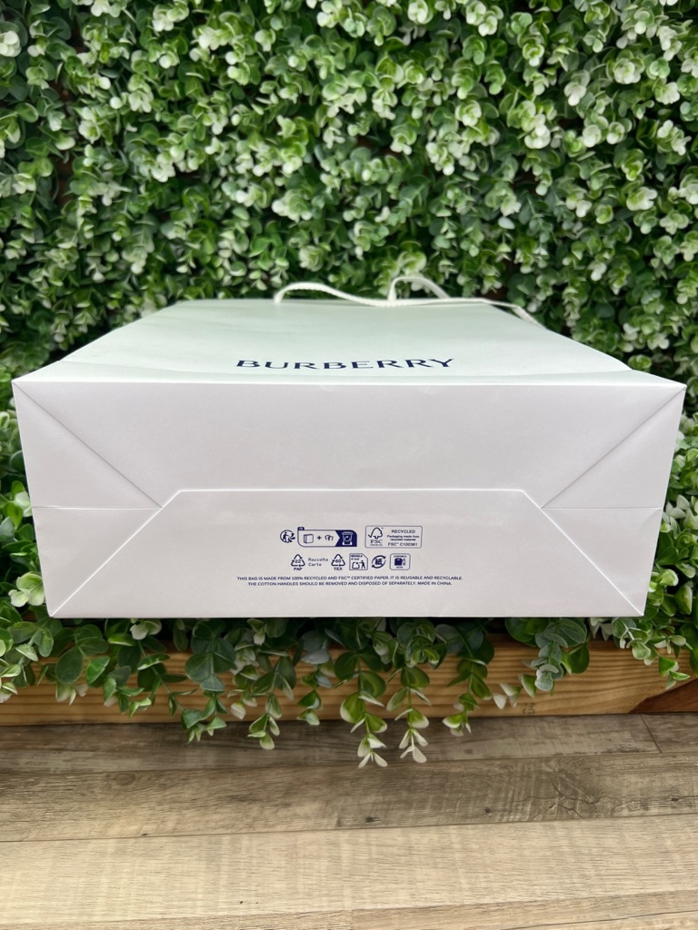 Burberry Authentic Classic Gift Bag / Shopping Bag - Picture 8 of 12